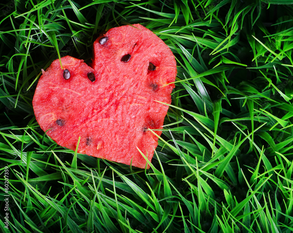 Canvas Prints Watermelon heart on green grass. Valentine concept