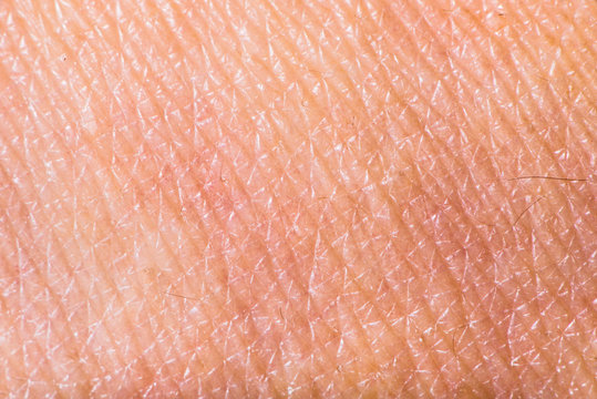 Texture of human skin