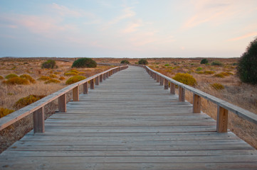 Obraz premium Wooden path in the dunes. Algarve, Portugal