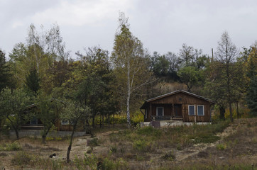 Beauty view of advance autumn in Vitosha mountain