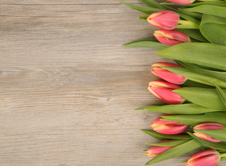Tulpen auf Holzhintergrund