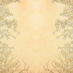 植物のスカシのあるベージュ色のまだらの紙