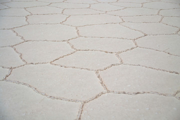 Obraz premium Polygonal patterns of dried sea salt