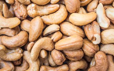 Pumpkin green on the ground