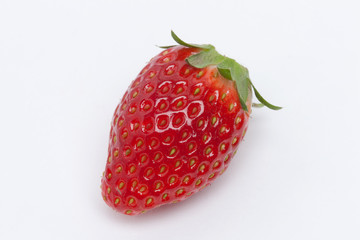 イチゴ　とちおとめ