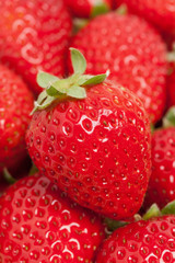 イチゴ　さちのか