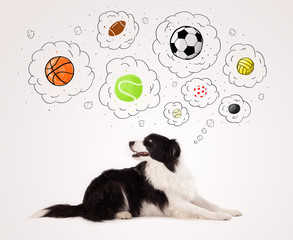 Cute dog with balls in thought bubbles
