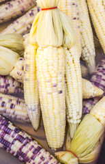 Details of corn boil in Thailand