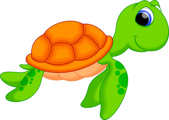 sea turtle cartoon