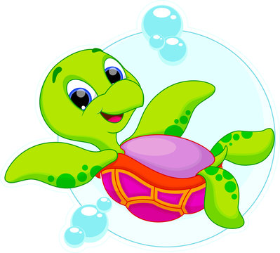 cute turtle is swimming upside down