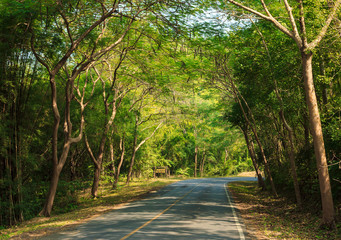 Asphalt road in the national park Erawan