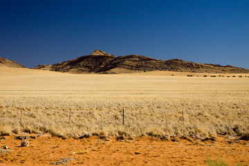 Fototapeta na wymiar namibia