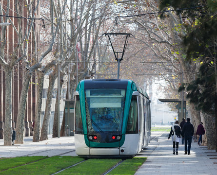 Ordinary Tramway In Barcelona
