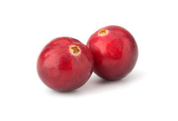 Fototapeta na wymiar Cranberry isolated on white background closeup