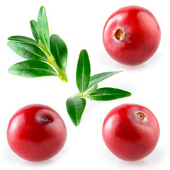 Cranberry with leaf. Collection on white background