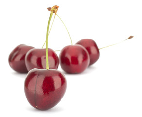 Cherry isolated on white background