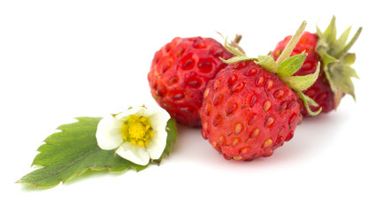 Wild strawberry isolated on white background