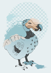 Dodo © Kitigan