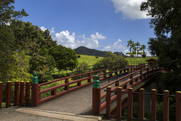 Fototapeta na wymiar red bridge, wonderful countryside