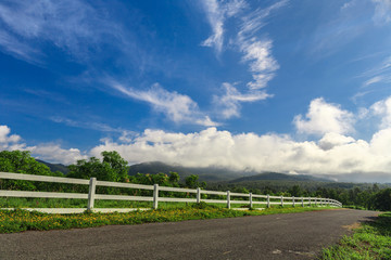 Fototapeta premium Beautiful countryside road under blue sky