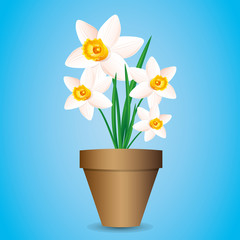 Flower icon. Narcissus.