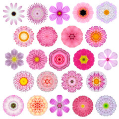 Huge Selection of Various Concentric Mandala Flowers Isolated