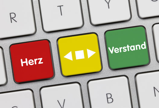 Herz oder Verstand