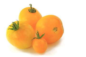 Gelbe Tomaten