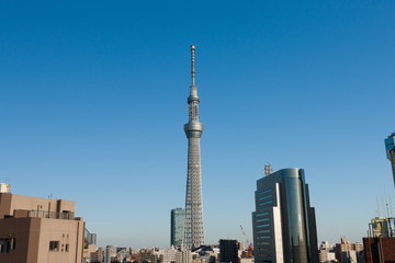 Obraz premium 浅草から見た東京スカイツリー