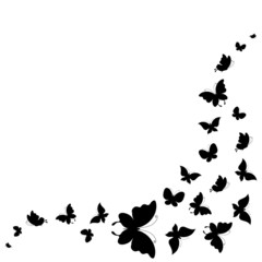 butterflies design