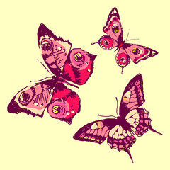 butterflies design