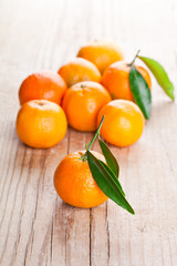 tangerines with leaves