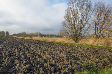 Agriculture in winter near a bridge