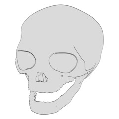cartoon image of fetus skull