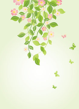 Spring time