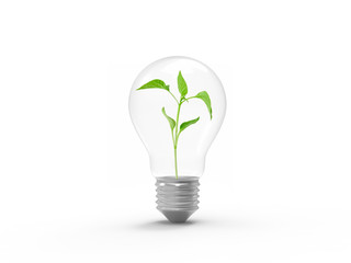 light bulb idea green plant