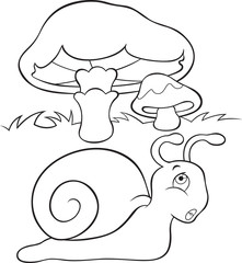 Snail