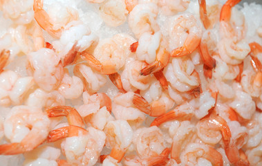 shrimps