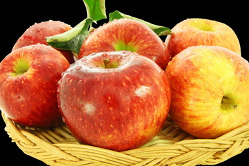 fruit apples closeup in black background