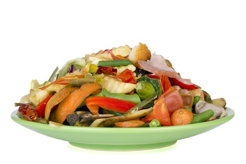 Food of the future