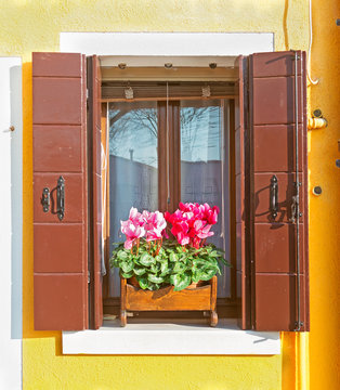 Yellow Window