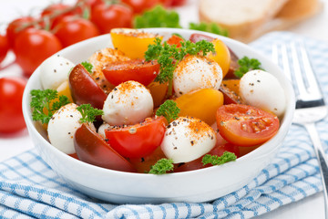 salad with mozzarella, fresh herbs and colorful cherry tomatoes