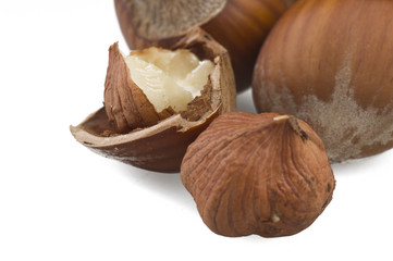 Hazelnuts group close up on the white