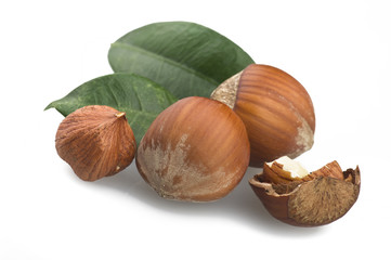 Hazelnuts group close up on the white