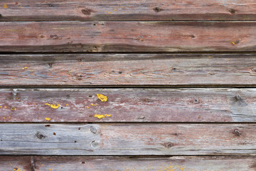 Obraz premium Wood wall texture for background usage