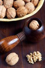 Walnuts and nutcracker close-up
