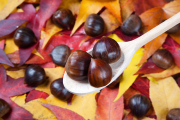 chestnuts