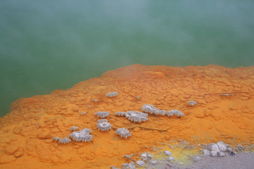 Rotorua - Gejzery