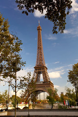Eiffel Tower with green tree in Paris, France