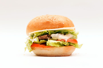 hamburger on the white